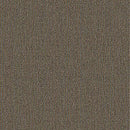 Aladdin Special Coverage Carpet Tile QA179-888 Special Report (Partial Piece - Sample)