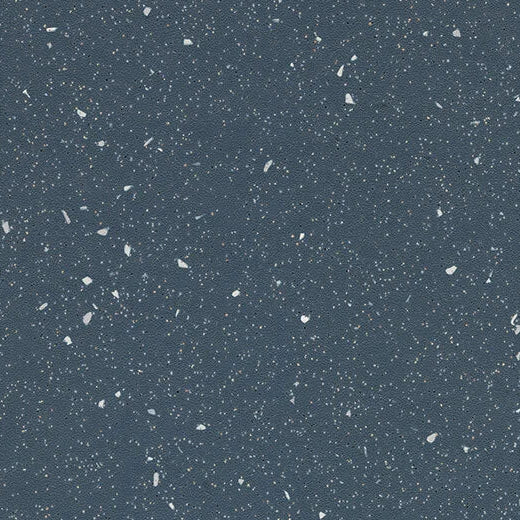 Forbo Steel Slip Resistant Sheet Vinyl 174962 Eternal Step SR (Partial Piece - Sample)