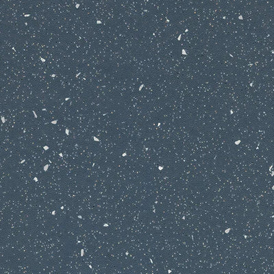 Forbo Steel Slip Resistant Sheet Vinyl 174962 Eternal Step SR (79" Width)