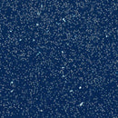 Forbo Eternal Step 171782 Night Vinyl Sheet (Partial Piece - Sample)