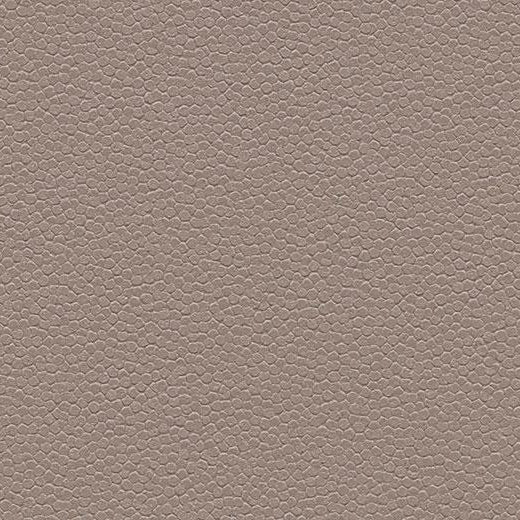 Forbo Taupe Slip Resistant Sheet Vinyl 180232 Eternal Step Aqua SR (Partial Piece - Sample)