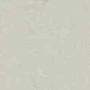 Forbo Mercury Linoleum T3716-156298 Marmoleum Modular Tile (Partial Piece - Sample)