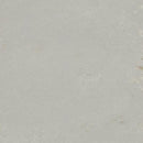 Forbo Neptune Linoleum T3717-156444 Marmoleum Modular Tile (Partial Piece - Sample)