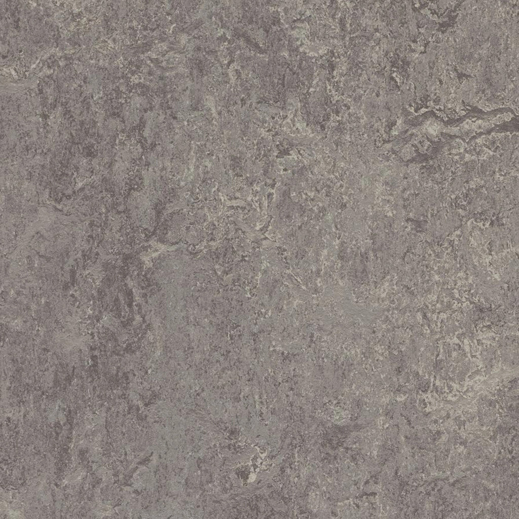 Forbo Marmoleum Modular Tile T2629-156341 Eiger 9.8" x 9.8" Linoleum Tile Flooring (26.91 SF/Box)