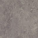 Forbo Marmoleum Modular Tile T2629-156341 Eiger 9.8