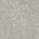 Forbo Moraine Linoleum T3216-156344 Marmoleum Modular Tile (Partial Piece - Sample)