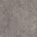 Forbo Marmoleum Modular Tile T2629-156358 Eiger Linoleum Tile Flooring (Partial Piece - Sample)