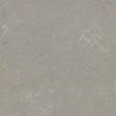 Forbo Pluto Linoleum T3718-156414 Marmoleum Modular Tile (Partial Piece - Sample)