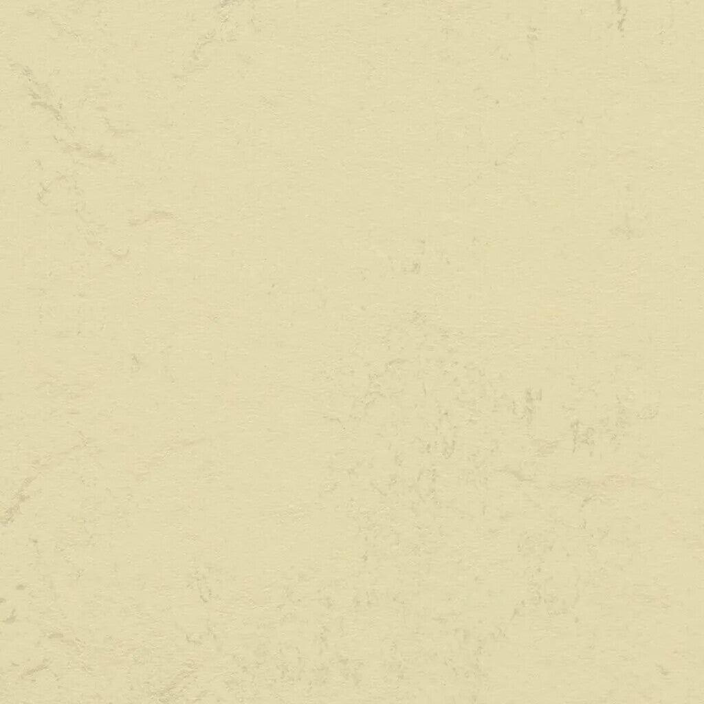 Forbo Marmoleum Modular Tile T3053-85816 Dove Blue 19.69" x 19.69" Linoleum Tile Flooring (53.82 SF/Box)