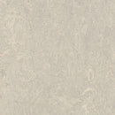 Forbo Marmoleum Modular Tile T3136-156491 Concrete 19.69
