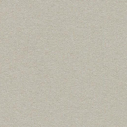 Forbo Bulletin Board Linoleum 2206 Oyster Shell Linoleum Sheet (Partial Piece - Sample)