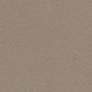 Forbo Mushroom Medley 2208 Bulletin Board Linoleum Sheet (Partial Piece - Sample)