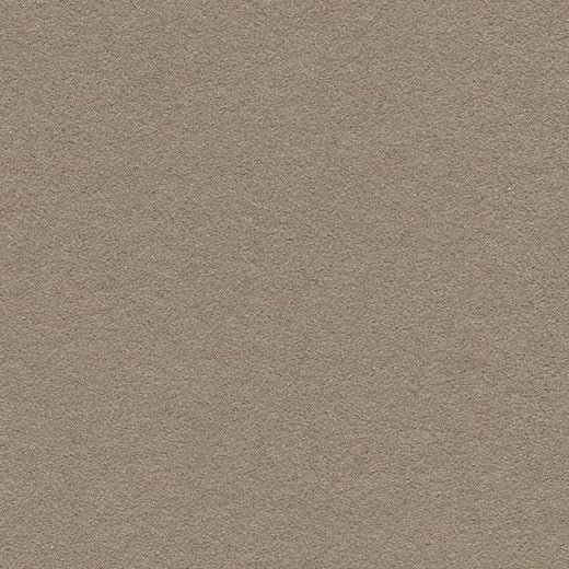 Forbo Mushroom Medley 2208 Bulletin Board Linoleum Sheet (Partial Piece - Sample)