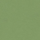 Forbo Baby Lettuce Linoleum Sheet 2213 Bulletin Board (Partial Piece - Sample)