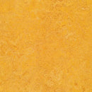 Forbo Marmoleum Decibel Acoustic Linoleum 322535 3.5 mm Dandelion Sheet (Partial Piece - Sample)
