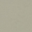 Forbo Orbit Linoleum Sheet 3724-175332 Marmoleum Concrete (Partial Piece - Sample)