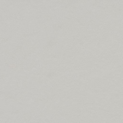 Forbo Titanium Linoleum Sheet 3369 Marmoleum Solid Walton (Partial Piece - Sample)