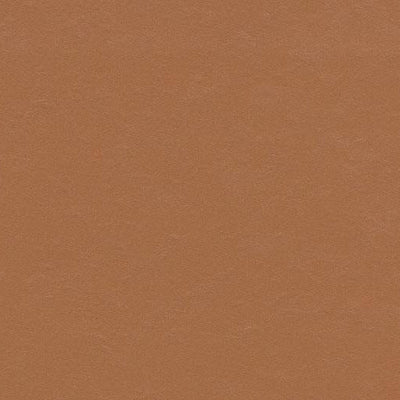 Forbo Terracotta Linoleum Sheet 3370 Marmoleum Solid Walton (Partial Piece - Sample)