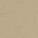 Forbo Marmoleum Concrete 3728 Kaolin Linoleum Sheet Flooring (Partial Piece - Sample)