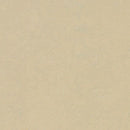Forbo Marmoleum Concrete 3729 Mica Linoleum Sheet Flooring (Partial Piece - Sample)
