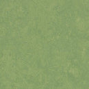 Forbo Marmoleum Marbled Fresco 3260-195573 Leaf Linoleum Sheet Flooring (Partial Piece - Sample)