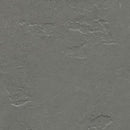 Forbo Marmoleum Modular Tile TE3745-195796 Cornish Grey Linoleum Tile Flooring (Partial Piece - Sample)