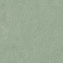 Forbo Marmoleum Marbled Fresco 3891-195656 Sage Linoleum Sheet Flooring (Partial Piece - Sample)