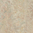Forbo Marmoleum Marbled Vivace 3427-195658 Agate Linoleum Sheet Flooring (Partial Piece - Sample)