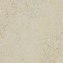 Forbo Rockpool Linoleum Sheet 3433-195664 Marbled Splash (Partial Piece - Sample)