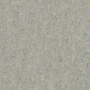 Forbo Alpine Mist Linoleum Sheet 5802-195677 Marbled Terra (Partial Piece - Sample)