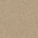 Forbo Weathered Sand Linoleum Sheet 5803-195678 Marbled Terra (Partial Piece - Sample)