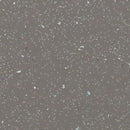 Forbo Eternal Step 172632 Coal Vinyl Sheet (Partial Piece - Sample)