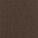 Aladdin Walk Right Up QA69-859 Walnut 24
