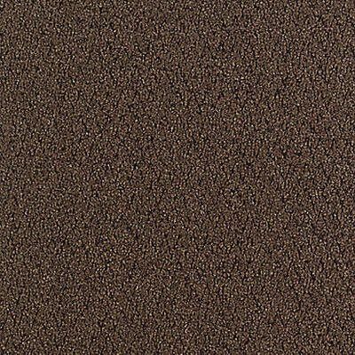 Aladdin Walk Right Up Carpet Tile QA69-859 Walnut 24" x 24"