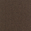 Aladdin Walk Right Up Carpet Tile QA69-859 Walnut (Partial Piece - Sample)