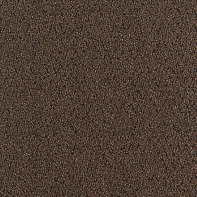Aladdin Walk Right Up Carpet Tile QA69-859 Walnut (Partial Piece - Sample)