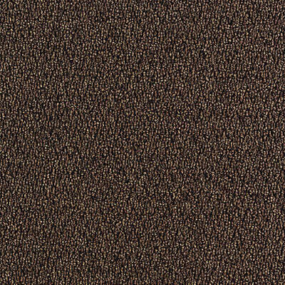 Aladdin Walk The Walk Carpet Tile QA68-859 Walnut (Partial Piece - Sample)