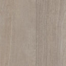 Shaw Floorte Pantheon HD Plus 2001V-05230 Cenere 7.08