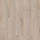 Shaw Floorte Pro Allegiance + Acc 2019V-01031 Riverside Luxury Vinyl Plank (Partial Piece - Sample)