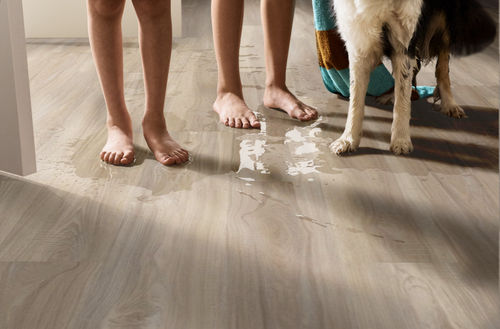 Shaw Impact Plus Washed Oak 2031V-00509 6.93" x 48.03" Luxury Vinyl Plank (27.73 SF/Box)