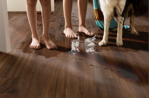 Shaw Impact Plus Burmese Teak 2031V-00604 6.93" x 48.03" Luxury Vinyl Plank (27.73 SF/Box)