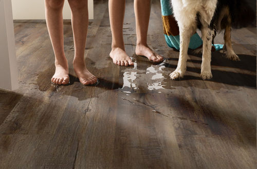 Shaw Impact Plus Modeled Oak 2031V-00709 6.93" x 48.03" Luxury Vinyl Plank (27.73 SF/Box)