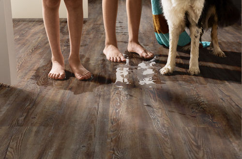 Shaw Impact Plus Tattered Barnbo 2031V-00717 6.93" x 48.03" Luxury Vinyl Plank (27.73 SF/Box)