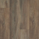 Shaw Floorte Pro Anvil Plus 2032V-07061 Highlight Oak SPC Vinyl Flooring (Partial Piece - Sample)
