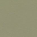 Forbo Marmoleum Decibel Acoustic Linoleum 335535 3.5 mm Rosemary Green Sheet (78.74