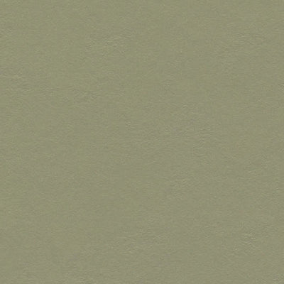 Forbo Rosemary Green Linoleum Sheet 335535 Marmoleum Decibel (79" Width)