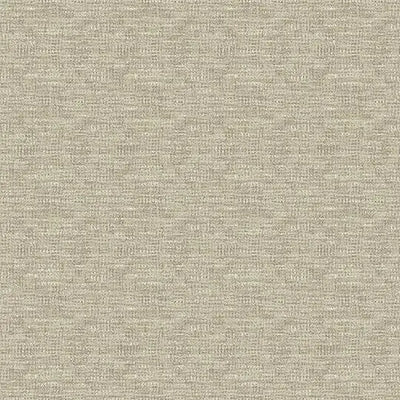 Forbo Ivory Linoleum Plank 65151 Principles Empower (Partial Piece - Sample)