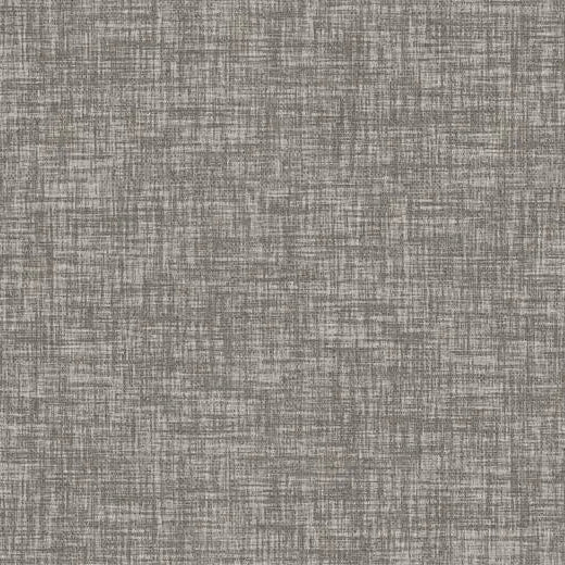 Forbo Latte Linoleum Plank 65374 Principles Explore (Partial Piece - Sample)