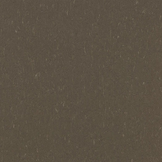 Forbo MCT Tile 3657 Hazelnut 13.11" x 13.11" Linoleum Tile