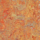 Forbo Marmoleum Click Cinch LOC Seal Waterproof Seal 333403 Asian Tiger 12